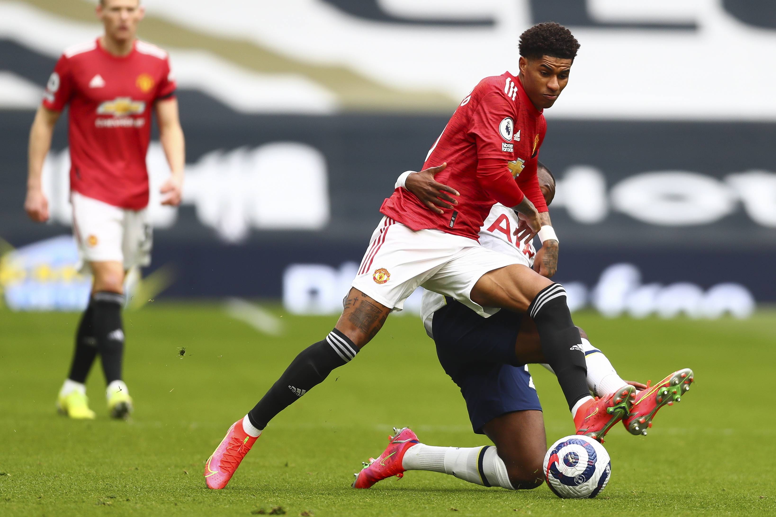 和家族基因 和家族基因